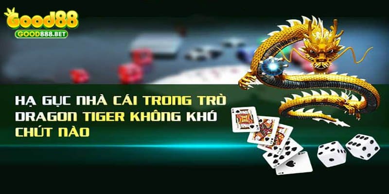 Mẹo chơi Rồng Hổ rinh tiền thưởng