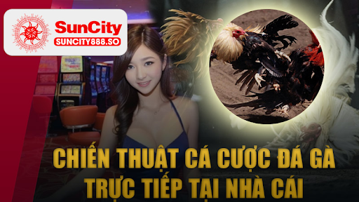 Đá Gà Trực Tiếp