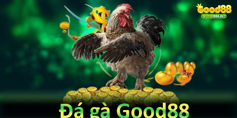 Đá gà good88